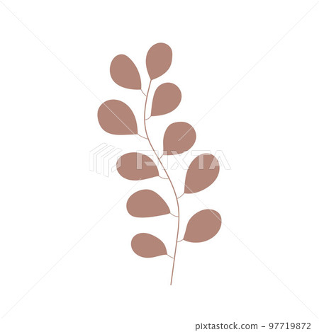 Herb hand drawn icon vector, tree branch. Simple plant leaves icon. Botanical doodle drawing. Botanical illustration for print, wedding card, invitation card, floral poster, sticker logo vector Herb hand drawn icon vector, tree branch. Simple plant leaves icon. Botanical doodle drawing. Botanical illustration for print, wedding card, invitation card, floral poster, sticker logo vector 97719872