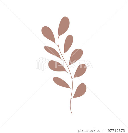 Branch hand drawn icon vector, herb, leaves. Simple plant icon. Botanical doodle drawing. Botanical illustration for print, wedding card, invitation card, floral poster, sticker logo vector 97719873