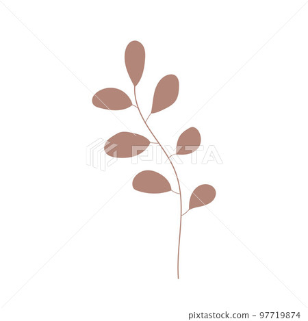 Herb icon vector hand drawn, tree branch. Simple leaves plant icon. Botanical doodle drawing. Botanical illustration for print, wedding card, invitation card, floral poster, sticker logo vector 97719874