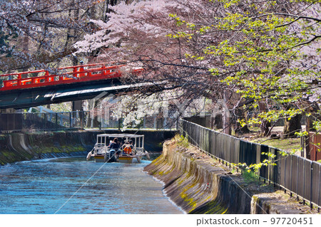 山科周邊櫻花盛開迎接春天的“琵琶湖運河船” 山科周邊櫻花盛開迎接春天的“琵琶湖運河船” 97720451