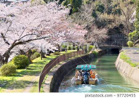 "Biwako Canal Boat" under cherry blossoms in full bloom ~ Near Yamashina 97720455