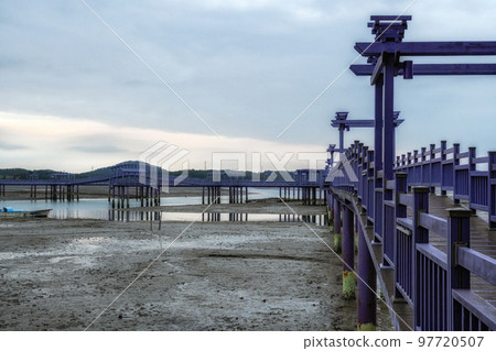 Sinan purple islands in winter 97720507