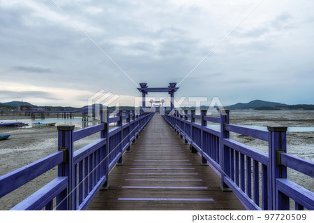 Sinan purple islands in winter 97720509