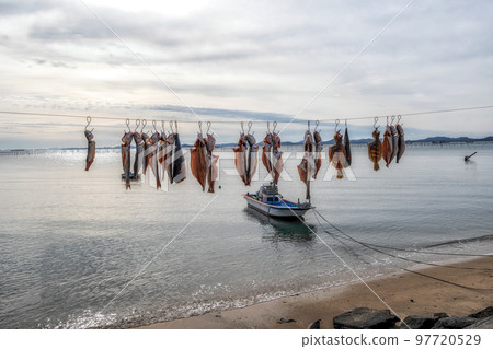 Dried fish hanging 97720529