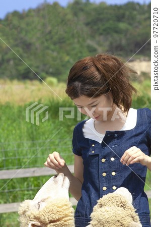 woman playing with sheep 97720710