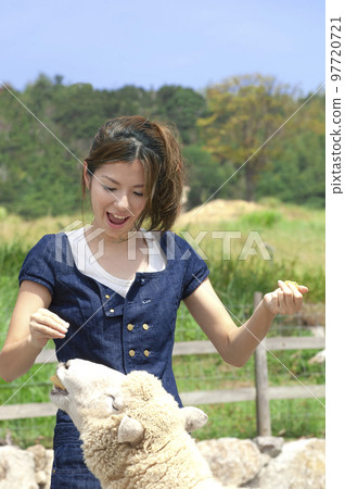woman playing with sheep 97720721