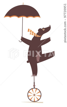 Bear riding on the unicycle.  Funny bear with umbrella balances on the unicycle. Isolated on white background 97720951