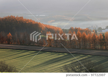 [Biei Town, Hokkaido] Landscape of yellow leaves and hills of Japanese larch 97722007