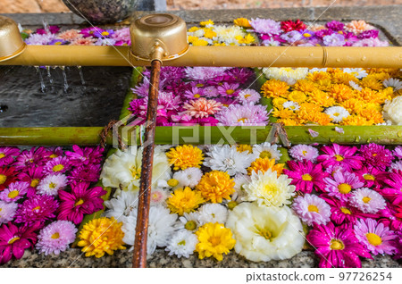 Wagokoro Winter Flower Purification Wagokoro Winter Flower Purification 97726254