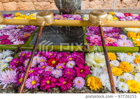 Wagokoro冬花淨化 97726255