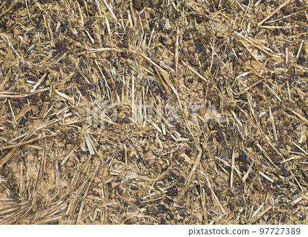 Wattle and daub wall texture Wattle and daub wall texture 97727389