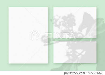 Mockup with plant shadows superimposed on 3 horizontal and vertical sheet of textured white paper on a green table background 97727662