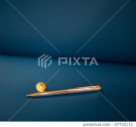 lawyer badge and pen 97728113