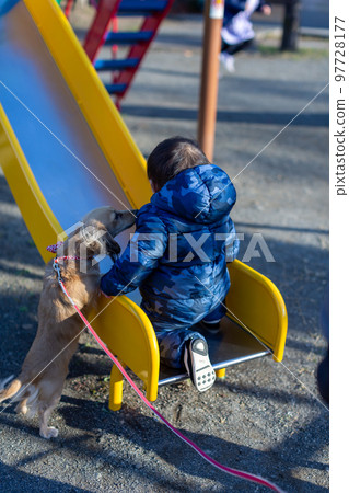 Baby playing with her pet dog in the park Toddler Baby playing with her pet dog in the park Toddler 97728177