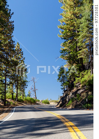 Asphalt road through forest 97728381