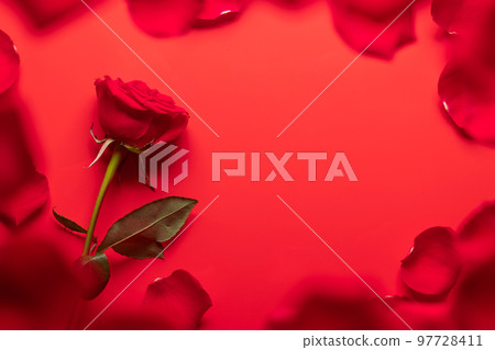 Valentines day greeting card with rose flowers 97728411
