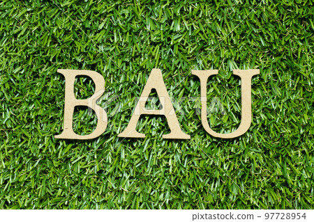 Wood alphabet letter in word BAU (abbreviation of business as usual) on green grass background Wood alphabet letter in word BAU (abbreviation of business as usual) on green grass background 97728954