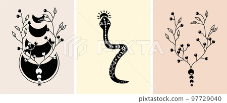 Black and white boho composition with snake, celestial moon, flowers and leaves. Mystical, magical compositions. Suitable for banners, posters, postcards. Vector illustration 97729040