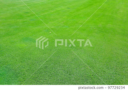 Green grass on a golf course in the evening. High quality photo 97729234