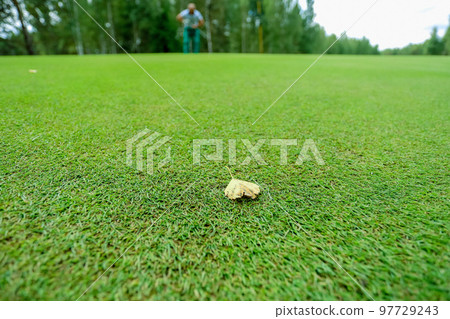 Fresh green grass background turf a top view. High quality photo Fresh green grass background turf a top view. High quality photo 97729243