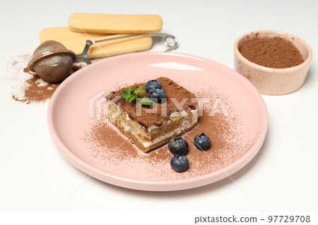 Concept of sweet food, tasty Tiramisu cake 97729708