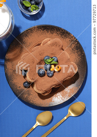 Concept of sweet food, Tiramisu cake, top view 97729713