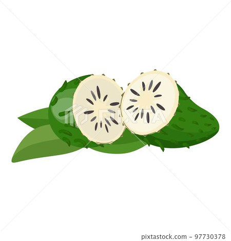 Tropical fruit icon cartoon vector. Muricata leaf. Annona food 97730378