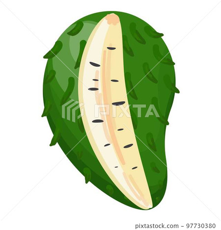 Cutted soursop icon cartoon vector. Food fruit. Tropical plant 97730380