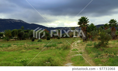 Beautiful Spanish landscape, palm trees, green plants, mountains in the distance, sunset, Tropical nature, Alicante 97731068