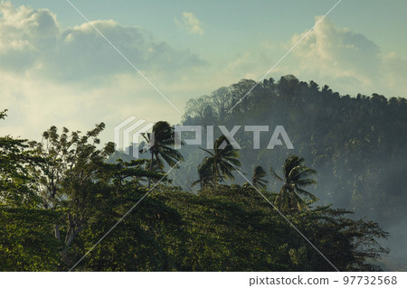 Clouds over Tangkoko National Park, Sulawesi, Indonesia 97732568