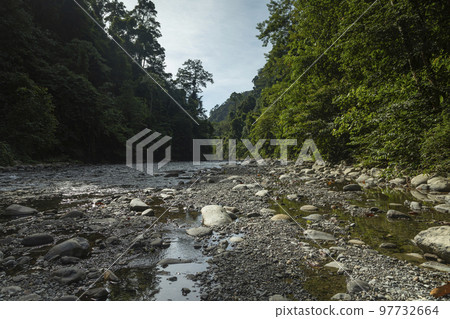 Bohorok River and the surrounding tropical jungle, North Sumatra 97732664