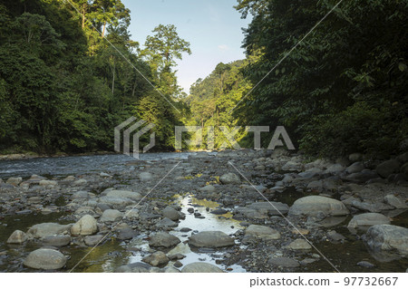 Bohorok River and the surrounding tropical jungle, North Sumatra 97732667