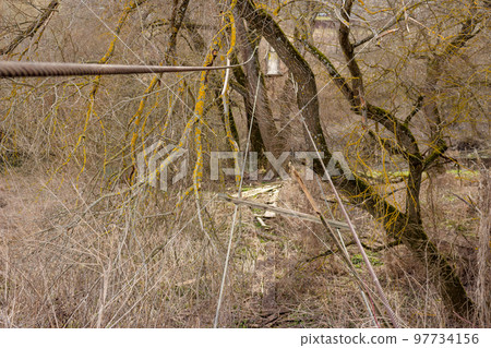 Broken old pedestrian bridge in the countryside, metal cables without boards Broken old pedestrian bridge in the countryside, metal cables without boards 97734156