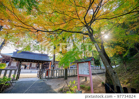 Kibitsuhiko Shrine in autumn Okayama City, Okayama Prefecture 97734824