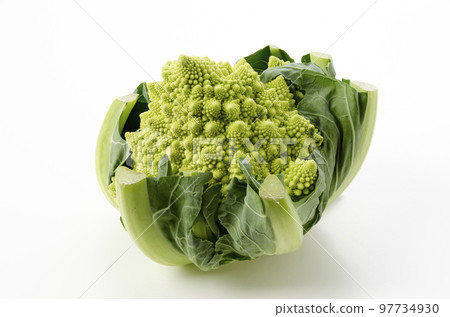 Romanesco 97734930