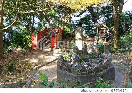 國藏島 97734934