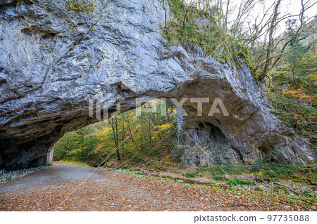 Obashi just after the leaves have fallen Shobara City, Hiroshima Prefecture 97735088
