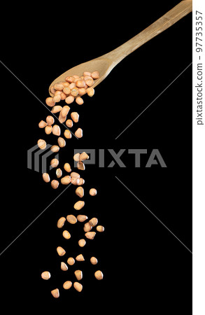 Peanut fall, brown grain peanuts explode abstract cloud fly from wooden spoon. Beautiful complete seed pea peanuts, food object design. Selective focus freeze shot black background isolated 97735357