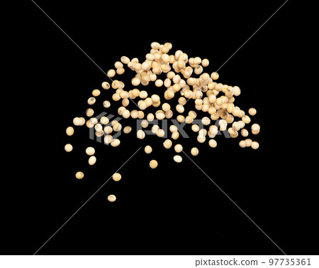 Soy Bean flying explosion, yellow grain beans explode abstract cloud fly. Beautiful complete seed pea soy bean splash in air, food object design. Selective focus freeze shot black background isolated 97735361