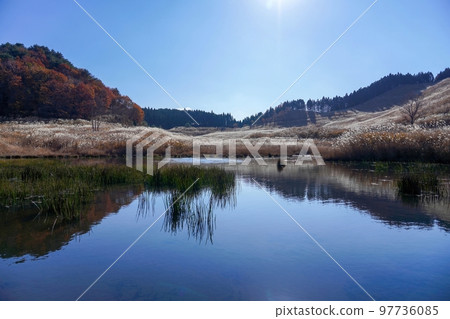 蔚藍天空下的登峰高原秋景@兵庫縣 蔚藍天空下的登峰高原秋景@兵庫縣 97736085