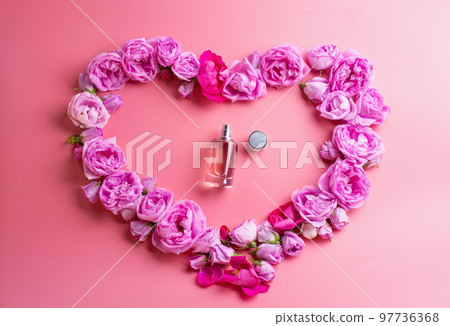 bottle of perfume around may roses in heart shape against pink background. romantic and beauty concept bottle of perfume around may roses in heart shape against pink background. romantic and beauty concept 97736368