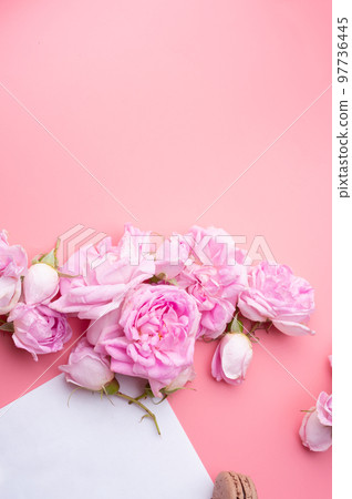 pink roses with white envelope and macaroons around pink background. life style concept. flat lay pink roses with white envelope and macaroons around pink background. life style concept. flat lay 97736445