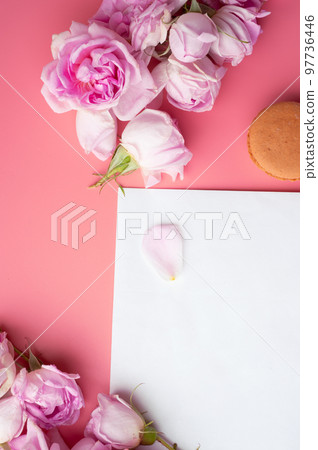 pink roses with white envelope and macaroons around pink background. life style concept. flat lay pink roses with white envelope and macaroons around pink background. life style concept. flat lay 97736446