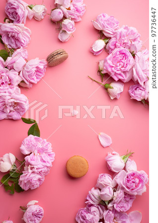 pink roses with white envelope and macaroons around pink background. life style concept. flat lay 97736447