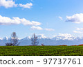 Hokkaido, Daisetsuzan National Park, Biei hills and yellow leaves 97737761