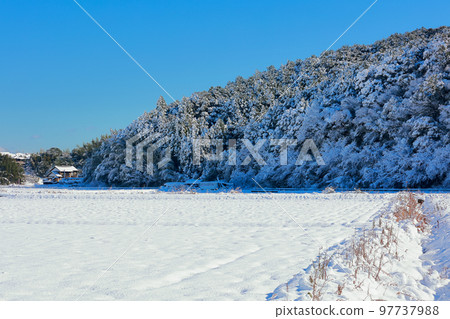 Snowfall in Kochi 97737988