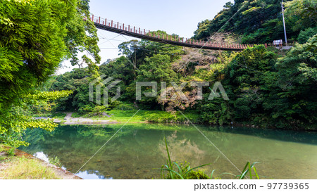 Rich nature (Hikawa / Hinokuni bridge Suspension bridge scenery) ``Tategamikyo Satochi Park'' 97739365