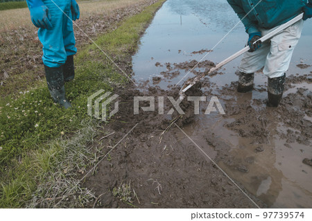 水稻種植 水稻 父母和小孩 97739574