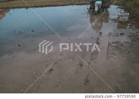 rice planting, rice transplanter, gents 97739590