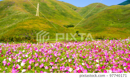 Beautiful mountain range of Aso and scenery of cosmos fields against the background of Mt. Beautiful mountain range of Aso and scenery of cosmos fields against the background of Mt. 97740171